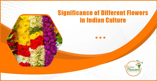 Significance of Different Flowers in Indian Culture