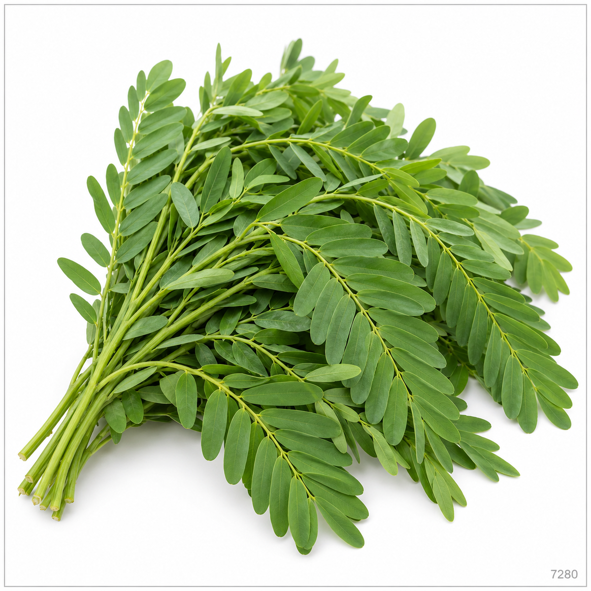 Agathi Keerai / Avise leaves (Sesbania grandiflora), illustrative image