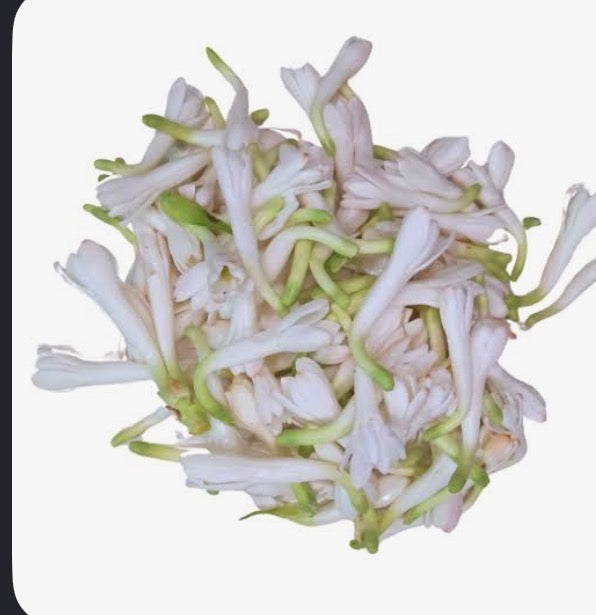Tuberose / Rajnigandha loose flowers — Nila Sampangi, Nela Sampangi, Sugandharaja
