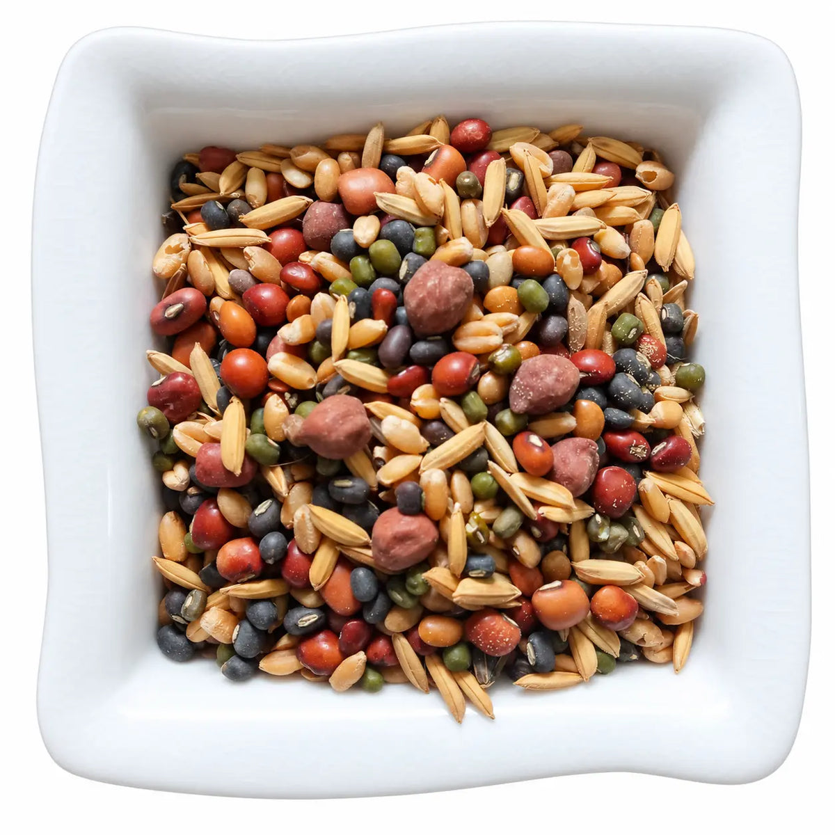 Illustrative Navadhanyam nine-grain mixture in a white dish on a white background. Supplied as nine separate packets, 100 g total.