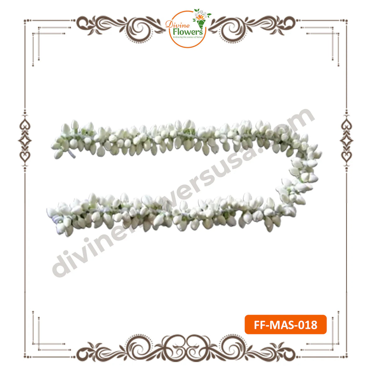 Malli ( Jasmine ) String (FF-MAS-018)