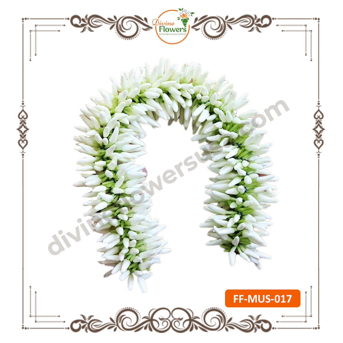 Mullai String (FF-MUS-017)