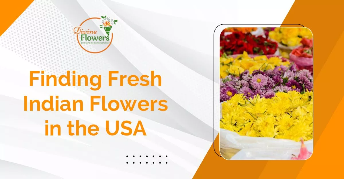 Finding Fresh Indian Flowers in the USA